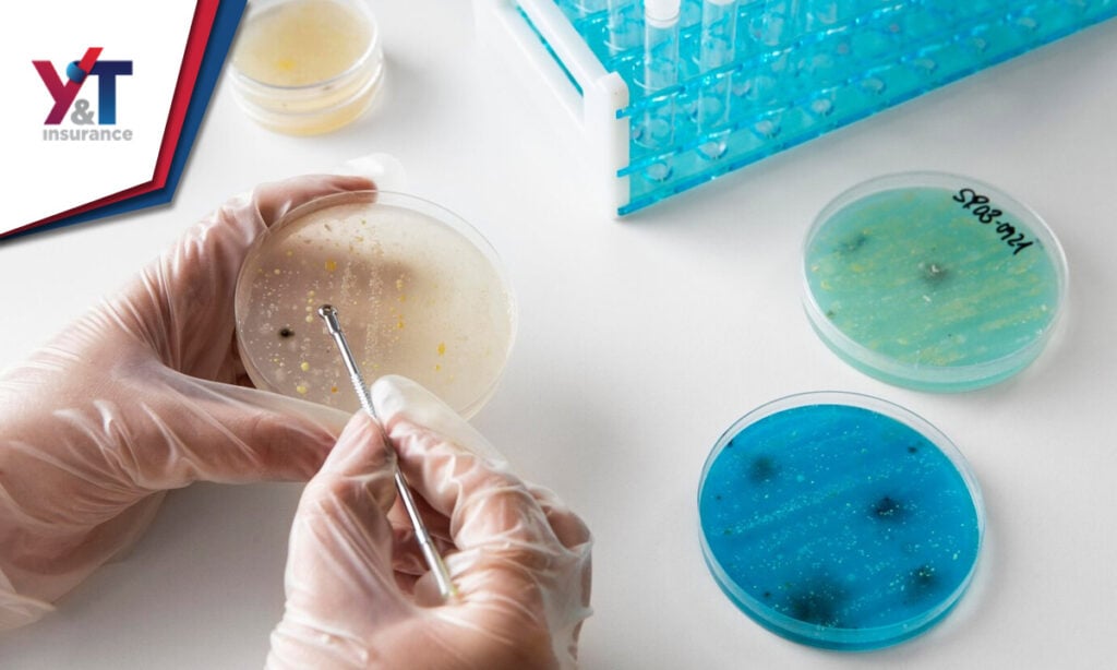 Seguros que cubren Fertilización in Vitro en Estados Unidos